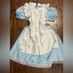 Alice in Wonderland Costume